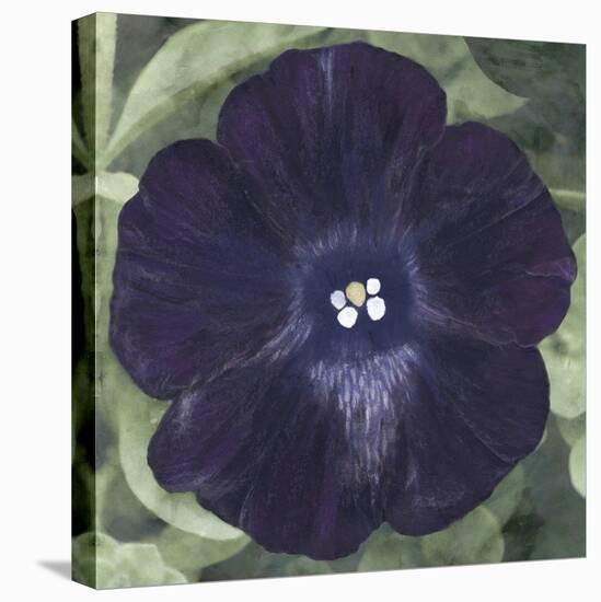 Floral Allure - Velvet-Belle Poesia-Stretched Canvas