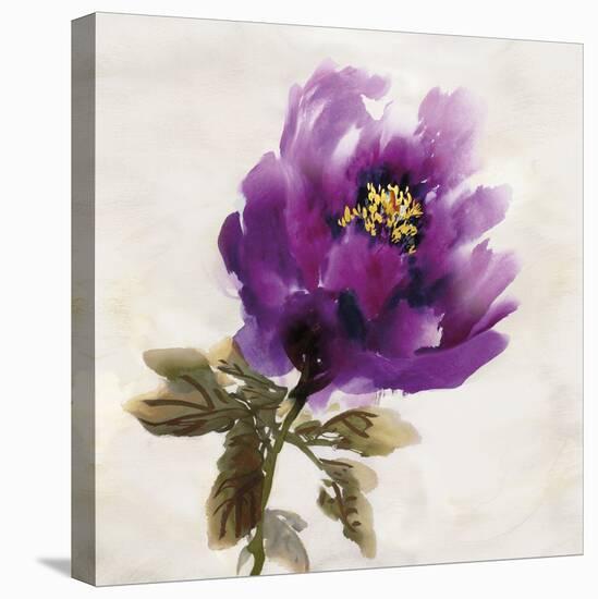 Floral Bloom-Tania Bello-Stretched Canvas