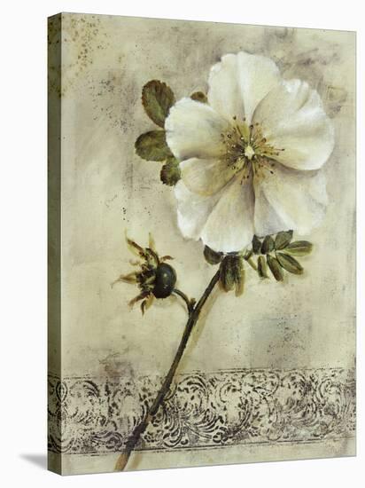 Floral Blush I-Carney-Stretched Canvas