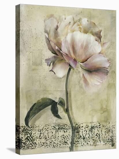 Floral Blush II-Carney-Stretched Canvas