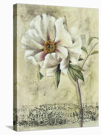 Floral Blush III-Carney-Stretched Canvas