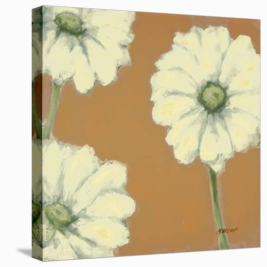 Floral Cache III-Julianne Marcoux-Stretched Canvas