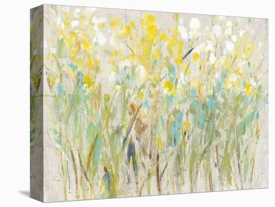 Floral Cluster I-Tim O'toole-Stretched Canvas