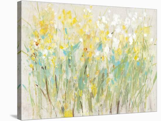 Floral Cluster II-Tim O'toole-Stretched Canvas