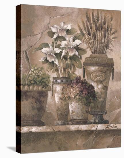Floral Elegance I-James Lee-Stretched Canvas