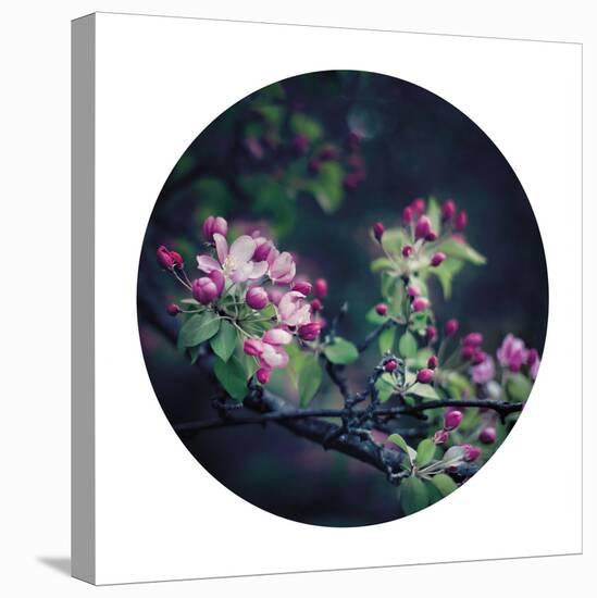 Floral Elegance - Sphere-Irene Suchocki-Stretched Canvas
