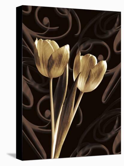 Floral Eloquence I-Ily Szilagyi-Stretched Canvas