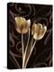 Floral Eloquence I-Ily Szilagyi-Stretched Canvas