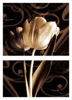 Floral Eloquence II-Ily Szilagyi-Stretched Canvas