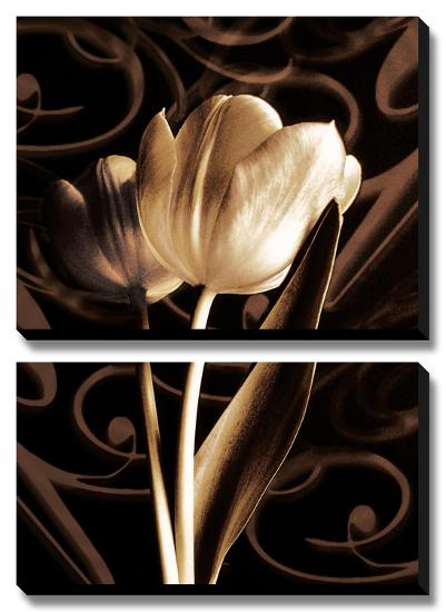 Floral Eloquence II-Ily Szilagyi-Stretched Canvas