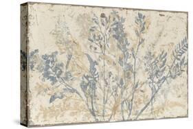 Floral Fan III-Megan Meagher-Stretched Canvas