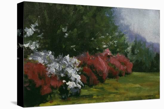 Floral Fantasy-Michael Budden-Premier Image Canvas