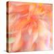 Floral Flames II-Doug Chinnery-Premier Image Canvas