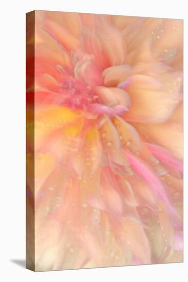 Floral Flames III-Doug Chinnery-Premier Image Canvas