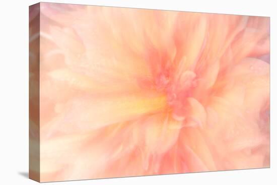 Floral Flames IV-Doug Chinnery-Premier Image Canvas