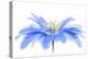 Floral Fountain-Jacky Parker-Premier Image Canvas