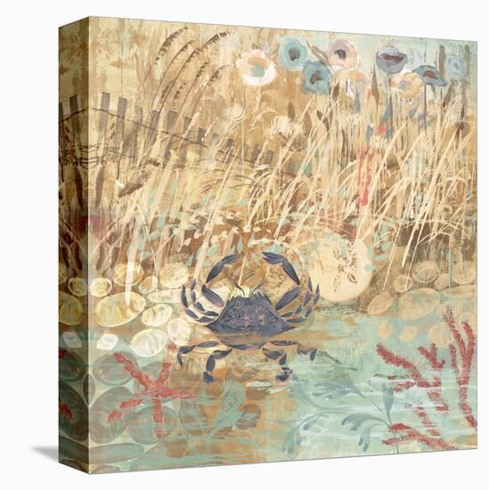 Floral Frenzy Coastal I-Alan Hopfensperger-Stretched Canvas