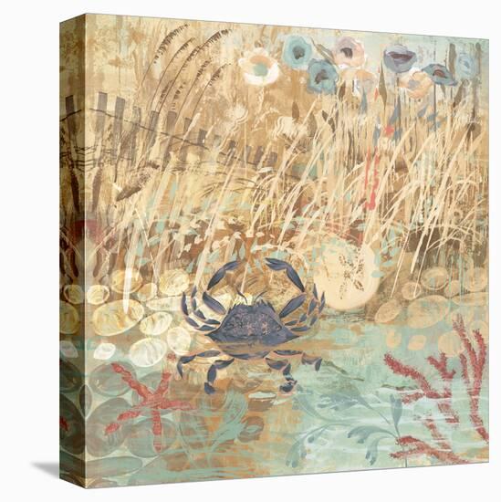 Floral Frenzy Coastal I-Alan Hopfensperger-Stretched Canvas