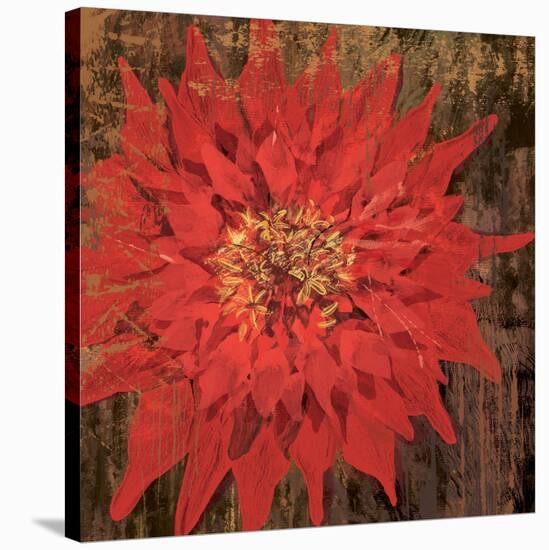 Floral Frenzy Red VI-Alan Hopfensperger-Stretched Canvas