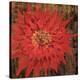 Floral Frenzy Red VI-Alan Hopfensperger-Stretched Canvas