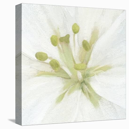 Floral Fresh - Focal-Belle Poesia-Stretched Canvas