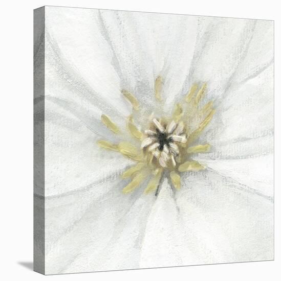 Floral Fresh - Focus-Belle Poesia-Stretched Canvas