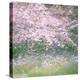 Floral Froth I-Doug Chinnery-Premier Image Canvas