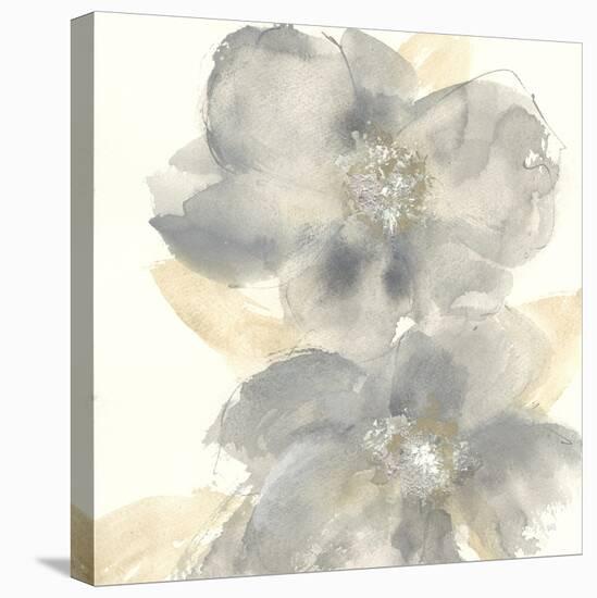 Floral Gray II-Chris Paschke-Stretched Canvas