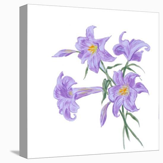 Floral III-Linda Baliko-Stretched Canvas