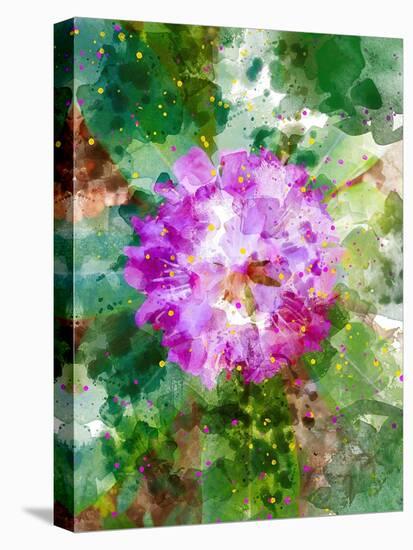 Floral in Bloom I-Chamira Young-Stretched Canvas