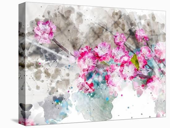 Floral in Bloom XII-Chamira Young-Stretched Canvas