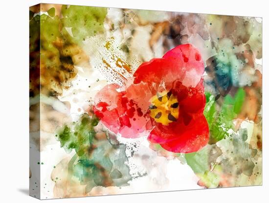 Floral in Bloom XV-Chamira Young-Stretched Canvas