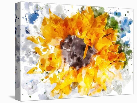 Floral in Bloom XX-Chamira Young-Stretched Canvas