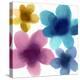 Floral Joy II-Hannah Carlson-Stretched Canvas