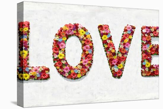 Floral Love-Jamie MacDowell-Stretched Canvas