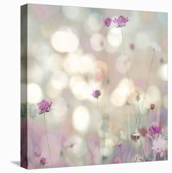 Floral Meadow I-Kate Carrigan-Stretched Canvas