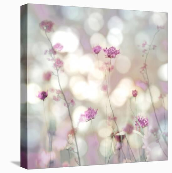 Floral Meadow II-Kate Carrigan-Stretched Canvas