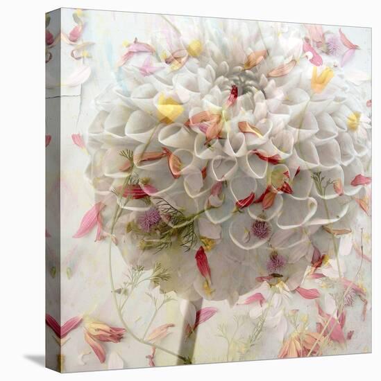 Floral Montage-Alaya Gadeh-Premier Image Canvas