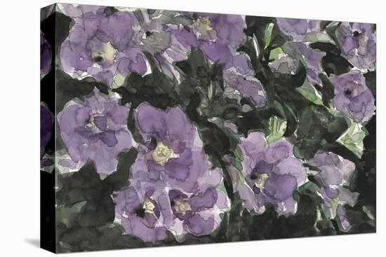 Floral Palette  I-Samuel Dixon-Stretched Canvas