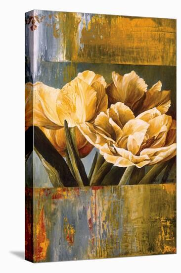 Floral Radiance II-Linda Thompson-Stretched Canvas