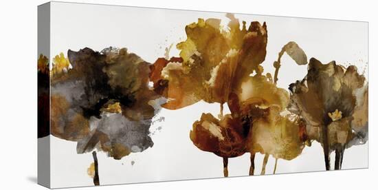 Floral Rhumba II-Tania Bello-Stretched Canvas