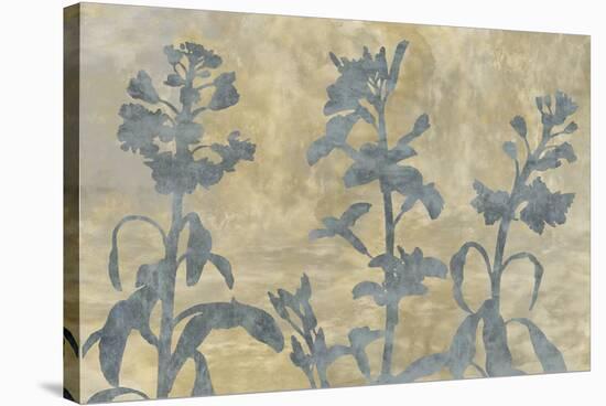 Floral Shadow-Tania Bello-Stretched Canvas