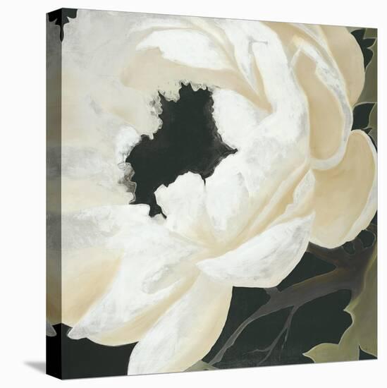 Floral Study-Kc Haxton-Stretched Canvas