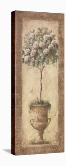 Floral Topiary I-null-Stretched Canvas