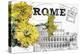 Floral Travel Rome-null-Premier Image Canvas