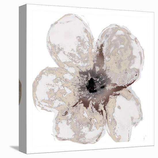 Floral-White 2-Victoria Brown-Stretched Canvas
