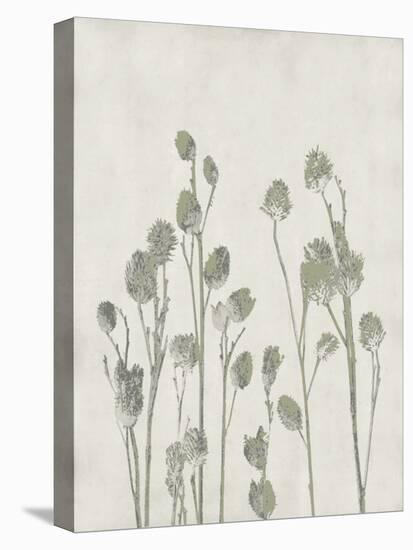 Floral Wild - Jimson-Collezione Botanica-Stretched Canvas