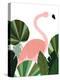 Florence The Flamingo-Emily Kopcik-Stretched Canvas