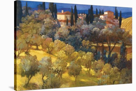 Florentine Landscape-Philip Craig-Stretched Canvas