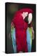 Florida. A captive Scarlet Macaw.-Charles Sleicher-Premier Image Canvas